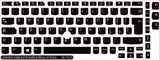 Lenovo Universal SticKeys