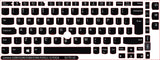 Lenovo Universal SticKeys