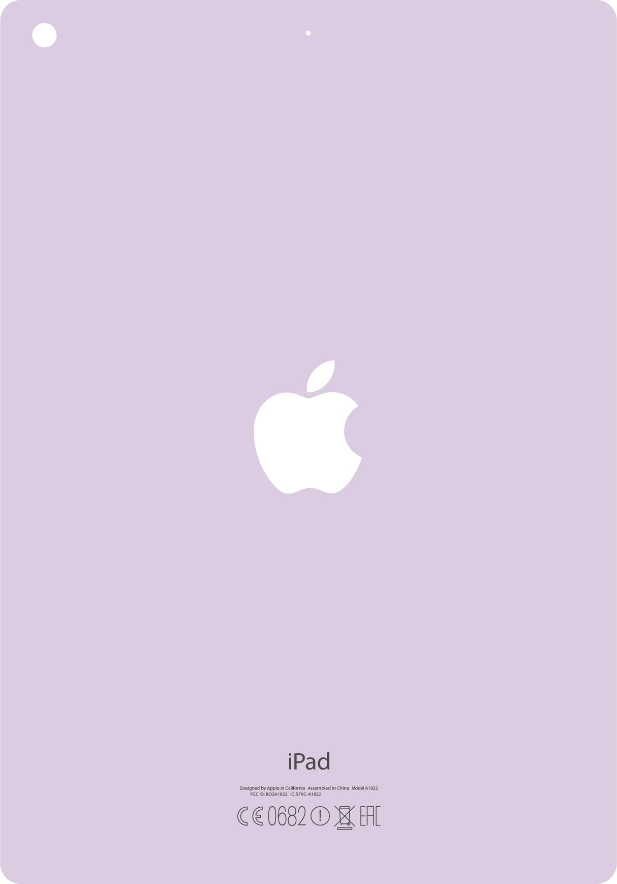 Tablet Back Skinz for Apple A1822